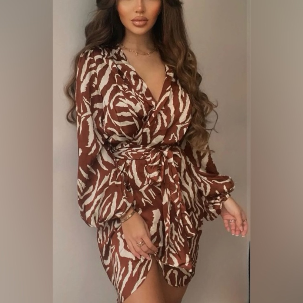 Fashion Nova XS She's An Animal Mini Dress Brown Zebra Print Long Sleeve